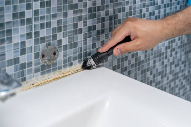 Best Residential Mold Remediation in Bradford, RI