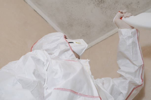 Best Mold Remediation for Schools in Bradford, RI